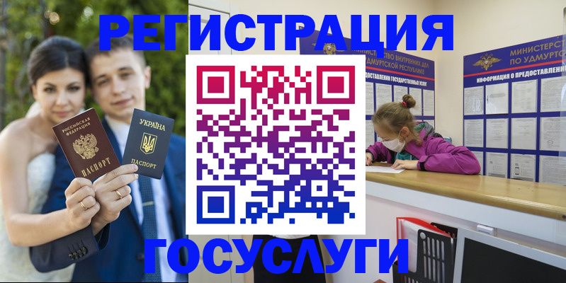прописка поиск в Петропавловске-Камчатском